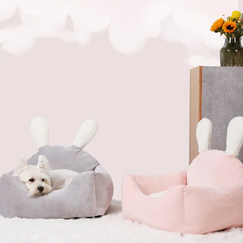 Paw Central Bed For Dogs