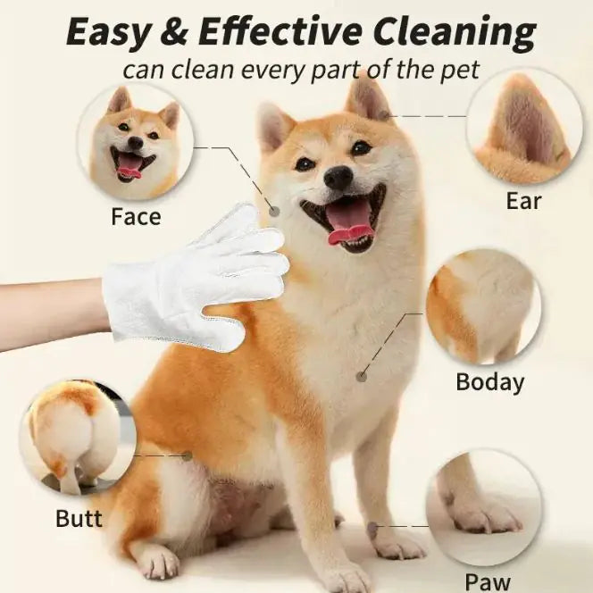 Paw Central Pet Cleaning Gloves &amp; Wipes