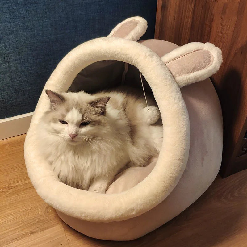 Paw Central Cat house.